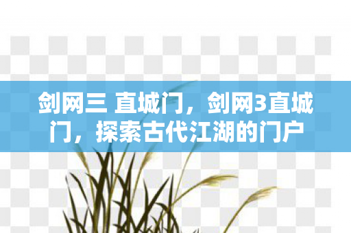 剑网三 直城门，剑网3直城门，探索古代江湖的门户