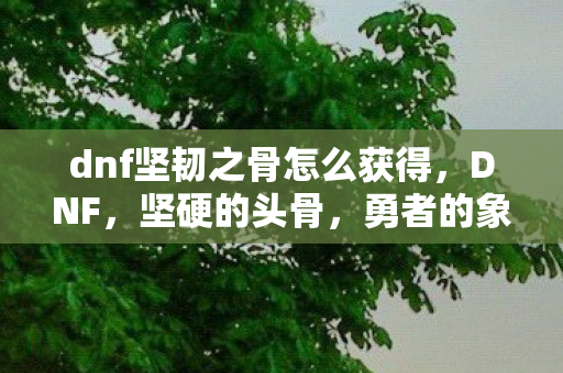 dnf坚韧之骨怎么获得，DNF，坚硬的头骨，勇者的象征