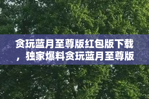 贪玩蓝月至尊版红包版下载，独家爆料贪玩蓝月至尊版红包版，游戏玩家的新宠，惊喜连连看！