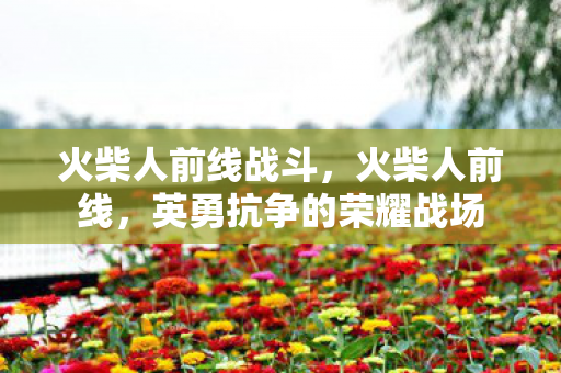 火柴人前线战斗，火柴人前线，英勇抗争的荣耀战场