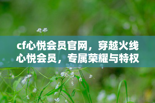 cf心悦会员官网，穿越火线心悦会员，专属荣耀与特权体验