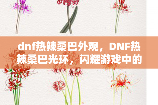 dnf热辣桑巴外观，DNF热辣桑巴光环，闪耀游戏中的全新光环效果解析