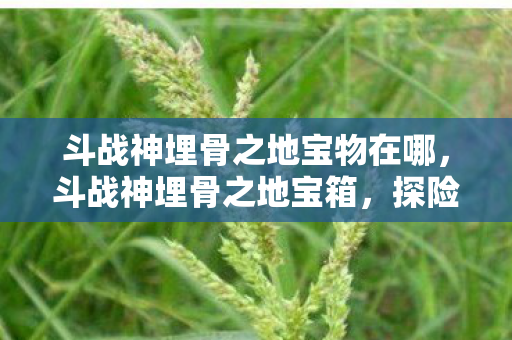 斗战神埋骨之地宝物在哪，斗战神埋骨之地宝箱，探险与荣耀的交汇点