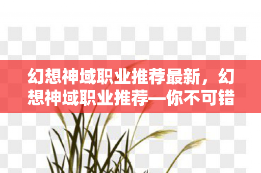 幻想神域职业推荐最新，幻想神域职业推荐—你不可错过的最佳伙伴