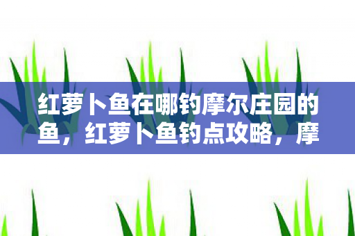 红萝卜鱼在哪钓摩尔庄园的鱼，红萝卜鱼钓点攻略，摩尔庄园钓鱼新发现