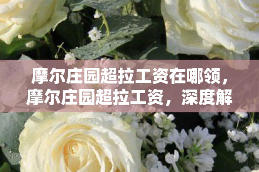 摩尔庄园超拉工资在哪领，摩尔庄园超拉工资，深度解析与体验分享