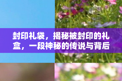 封印礼袋，揭秘被封印的礼盒，一段神秘的传说与背后的故事