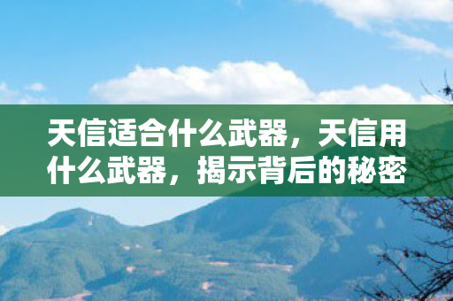天信适合什么武器，天信用什么武器，揭示背后的秘密