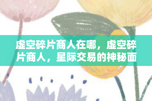 虚空碎片商人在哪，虚空碎片商人，星际交易的神秘面纱