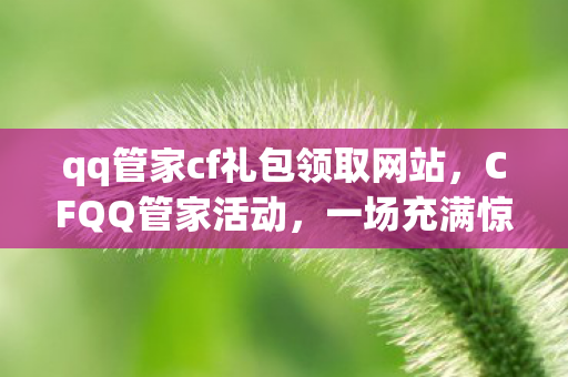 qq管家cf礼包领取网站，CFQQ管家活动，一场充满惊喜与福利的盛宴