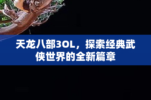 天龙八部3OL，探索经典武侠世界的全新篇章