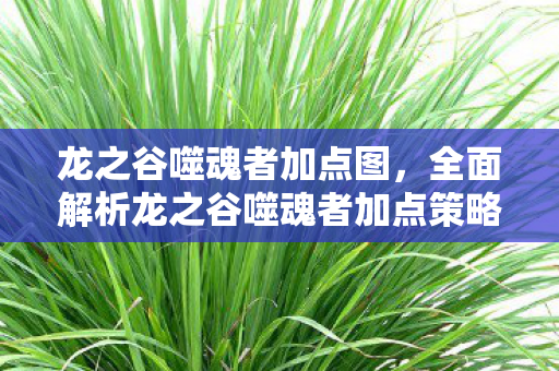 龙之谷噬魂者加点图，全面解析龙之谷噬魂者加点策略，成为游戏中的强者！