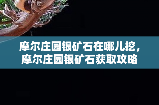 摩尔庄园银矿石在哪儿挖，摩尔庄园银矿石获取攻略