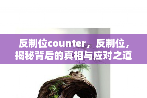 反制位counter，反制位，揭秘背后的真相与应对之道