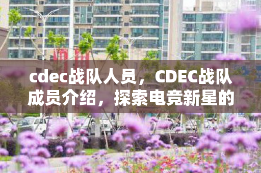 cdec战队人员，CDEC战队成员介绍，探索电竞新星的力量