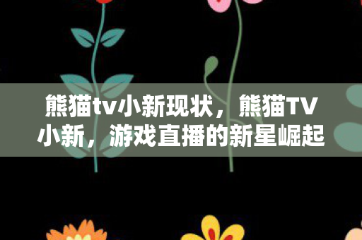 熊猫tv小新现状，熊猫TV小新，游戏直播的新星崛起