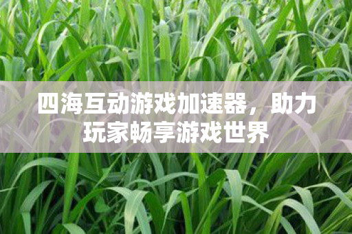四海互动游戏加速器，助力玩家畅享游戏世界