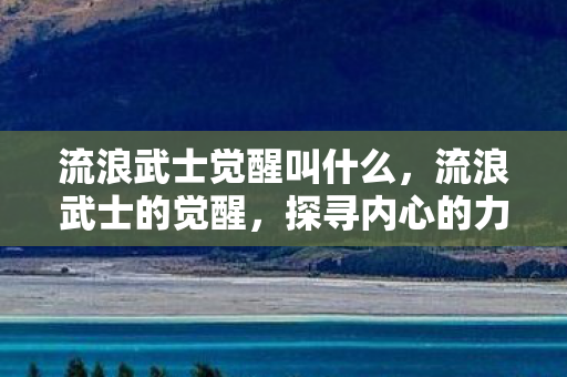 流浪武士觉醒叫什么，流浪武士的觉醒，探寻内心的力量与人生的意义