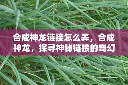 合成神龙链接怎么弄，合成神龙，探寻神秘链接的奇幻之旅
