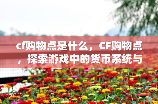 cf购物点是什么，CF购物点，探索游戏中的货币系统与购物体验