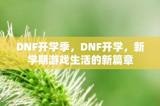DNF开学季，DNF开学，新学期游戏生活的新篇章