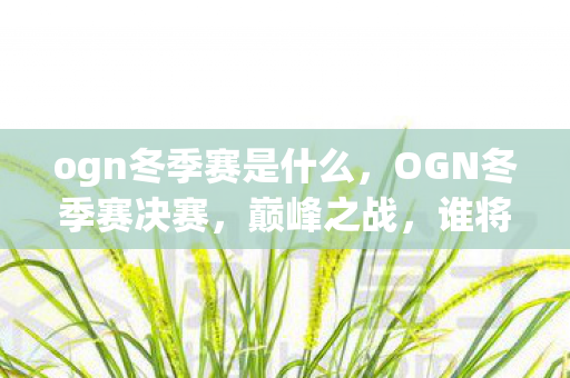 ogn冬季赛是什么，OGN冬季赛决赛，巅峰之战，谁将成为最强王者？