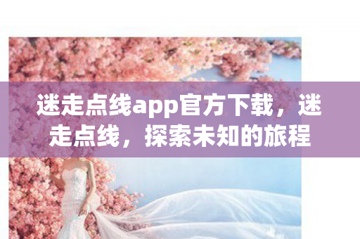 迷走点线app官方下载，迷走点线，探索未知的旅程