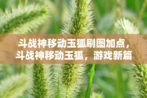 斗战神移动玉狐刷图加点，斗战神移动玉狐，游戏新篇章的魅力与挑战