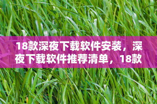 18款深夜下载软件安装，深夜下载软件推荐清单，18款必备之选