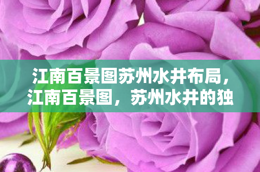 江南百景图苏州水井布局，江南百景图，苏州水井的独特魅力与文化内涵