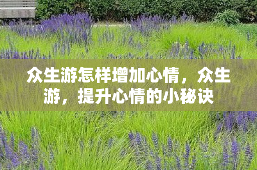 众生游怎样增加心情，众生游，提升心情的小秘诀