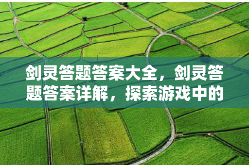 剑灵答题答案大全，剑灵答题答案详解，探索游戏中的智慧与策略
