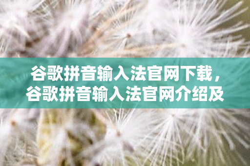 谷歌拼音输入法官网下载，谷歌拼音输入法官网介绍及使用体验分享