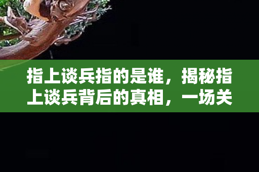 指上谈兵指的是谁，揭秘指上谈兵背后的真相，一场关于理想与现实的较量