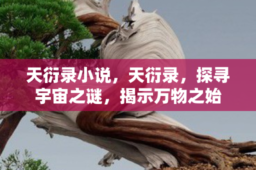 天衍录小说，天衍录，探寻宇宙之谜，揭示万物之始