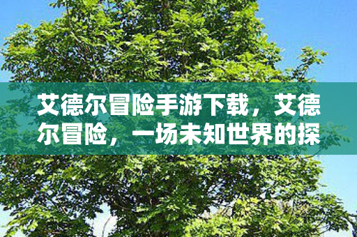 艾德尔冒险手游下载，艾德尔冒险，一场未知世界的探索之旅