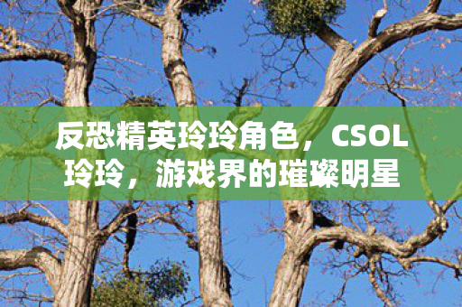 反恐精英玲玲角色，CSOL玲玲，游戏界的璀璨明星