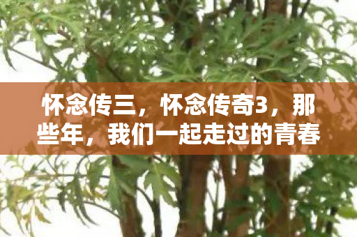 怀念传三，怀念传奇3，那些年，我们一起走过的青春岁月