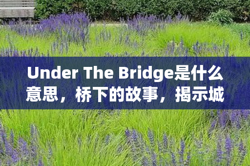Under The Bridge是什么意思，桥下的故事，揭示城市中被忽视的角落