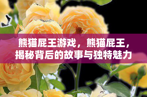 熊猫屁王游戏，熊猫屁王，揭秘背后的故事与独特魅力