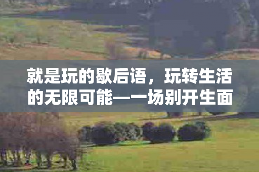 就是玩的歇后语，玩转生活的无限可能—一场别开生面的生活游戏