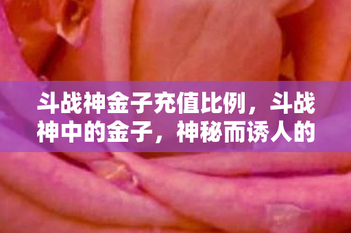 斗战神金子充值比例，斗战神中的金子，神秘而诱人的游戏货币