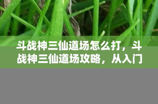 斗战神三仙道场怎么打，斗战神三仙道场攻略，从入门到精通
