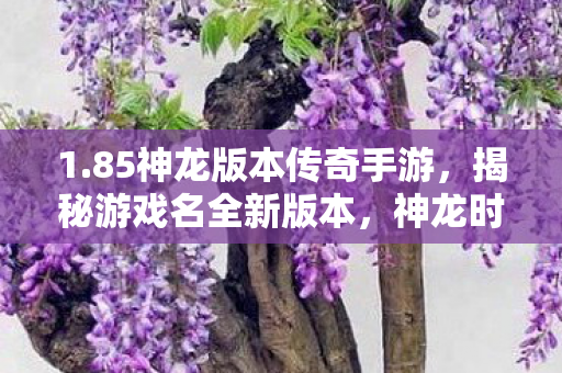 1.85神龙版本传奇手游，揭秘游戏名全新版本，神龙时代的挑战与机遇（1.85神龙版本深度解析）
