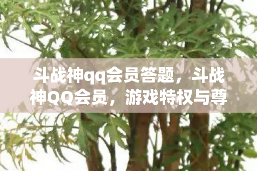 斗战神qq会员答题，斗战神QQ会员，游戏特权与尊贵身份的象征