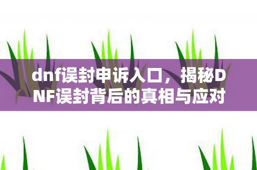 dnf误封申诉入口，揭秘DNF误封背后的真相与应对策略