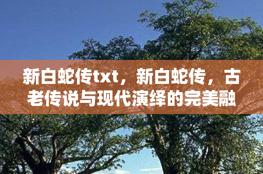新白蛇传txt，新白蛇传，古老传说与现代演绎的完美融合