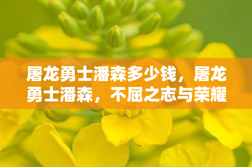 屠龙勇士潘森多少钱，屠龙勇士潘森，不屈之志与荣耀之路