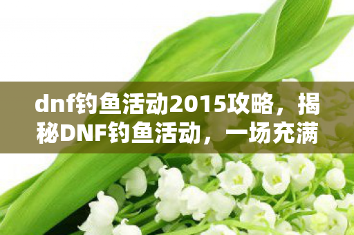 dnf钓鱼活动2015攻略，揭秘DNF钓鱼活动，一场充满挑战与惊喜的冒险之旅