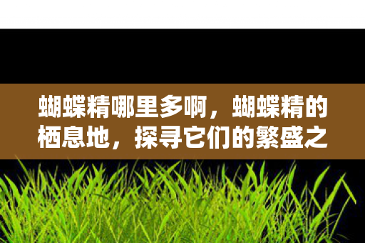 蝴蝶精哪里多啊，蝴蝶精的栖息地，探寻它们的繁盛之地
